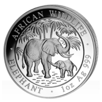 Somalia - African Wildlife Elefant 2007 - 1 Oz Silber