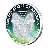 USA - 1 USD Frozen Silver Eagle 2015 - 1 Oz Silber Rhodium