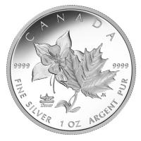 Kanada - 5 CAD Maple Leaf 2017 - 1 Oz Silber Privy ANA PP