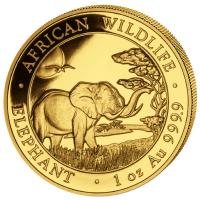 Somalia - 1000 Shillings Elefant 2019 - 1 Oz Gold