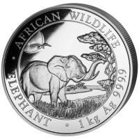 Somalia - African Wildlife Elefant 2019 - 1 KG Silber
