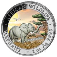 Somalia - African Wildlife Elefant 2019 - 1 Oz Silber Color