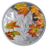 Kanada - 30 CAD Der schlaue Wolf 2019 - 2 Oz Silber