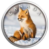 Kanada - 5 CAD Maple Wildtiere Unterwegs Rotfuchs 2019 - 1 Oz Silber Color