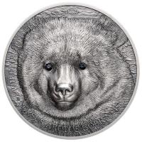 Mongolei - Wildlife Protection Gobi Bear (Gobi Br) 2019 - 1 Oz Silber PP
