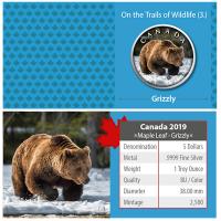 Kanada - 5 CAD Maple Wildtiere Unterwegs Grizzly 2019 - 1 Oz Silber Color