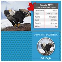 Kanada - 5 CAD Maple Wildtiere Unterwegs Bald Eagle 2019 - 1 Oz Silber Color