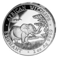 Somalia - African Wildlife Elefant 2019 - 2 Oz Silber