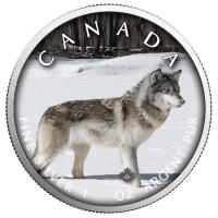 Kanada - 5 CAD Maple Wildtiere Unterwegs Wolf 2019 - 1 Oz Silber Color