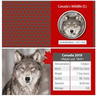 Kanada - 5 CAD Maple Leaf Wildlife Wolf 2019 - 1 Oz Silber Color