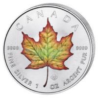 Kanada - 5 CAD Maple Leaf 2019 - 1 Oz Silber Color
