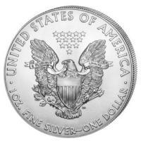 USA - 1 USD Silver Eagle 2019 - 1 Oz Silber Color