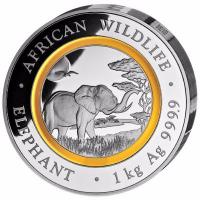 Somalia - African Wildlife Elefant Polymerring 2019 - 1 KG Silber PP