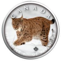 Kanada - 5 CAD Maple Wildtiere Unterwegs Luchs 2019 - 1 Oz Silber Color
