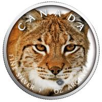 Kanada - 5 CAD Maple Leaf Wildlife Luchs 2019 - 1 Oz Silber Color