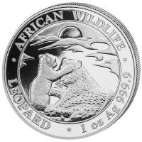 Somalia African Wildlife Leopard 2019 1 Oz Silber