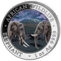Somalia - African Wildlife Elefant Tag und Nacht Set 2020 - 2*1 Oz Silber