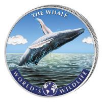 Kongo - 20 Francs Worlds Wildlife Wal/Whale 2020 - 1 Oz Silber Color