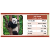 China - 10 Yuan Panda Tagdesign 2021 - 30g Silber Color