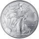 USA - 1 USD Silver Eagle 2007 - 1 Oz Silber