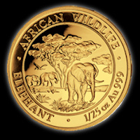 African Wildlife Elefant