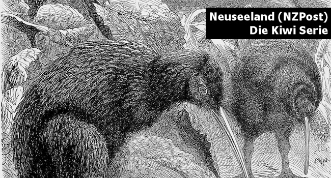 Neuseeland Kiwi Gold und Silber Münzen