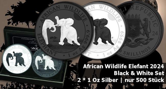 African Wildlife Elefant 2024 - Black & White Set