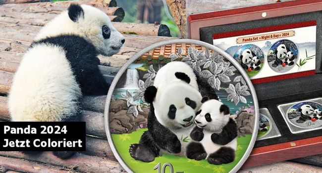 China Panda 2024 Coloriert