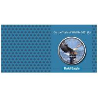 Kanada - 5 CAD Maple Wildtiere Unterwegs Weißkopfseeadler 2021 - 1 Oz Silber Color