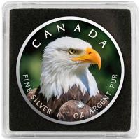 Kanada - 5 CAD Maple Leaf Wildlife Weißkopfseeadler 2021 - 1 Oz Silber Color