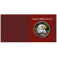 Kanada - 5 CAD Maple Leaf Wildlife Weißkopfseeadler 2021 - 1 Oz Silber Color