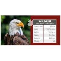 Kanada - 5 CAD Maple Leaf Wildlife Weißkopfseeadler 2021 - 1 Oz Silber Color
