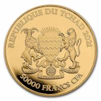 Tschad - 5000 Francs Mandala Warzenschwein (Warthog) 2021 - 1 Oz Gold (RAR)