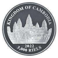 Kambodscha - 3000 KHR Tiger (1.) IndoChinesischer Tiger 2022 - 1 Oz Silber PPHR