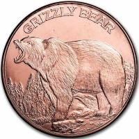USA - Grizzly Bear / Grizzly Br - 1 Oz Kupfer