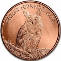 USA - Great Horned Owl - 1 Oz Kupfer