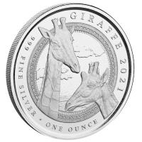 quatorialguinea - 1000 CFA Giraffe 2021 - 1 Oz Silber