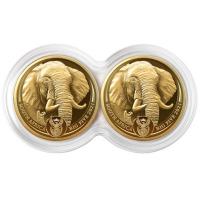 Sdafrika - 2*50 Rand Big Five II Elefant Doppelkapsel 2021 - 2*1/4 Oz Gold