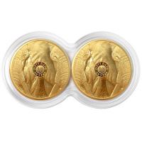 Sdafrika - 2*50 Rand Big Five II Elefant Doppelkapsel 2021 - 2*1/4 Oz Gold