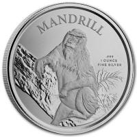 Kamerun - 500 Francs Mandrill 2021 - 1 Oz Silber