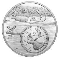 Kanada - 0,25 CAD Bigger Picture Karibu - 5 Oz Silber Gilded