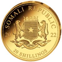 Somalia - 20 Shillings Leopard 2022 - 0,5g Gold