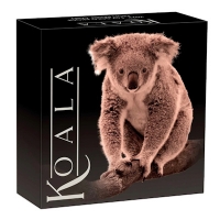 Australien - 100 AUD Koala 2022 - 1 Oz Gold HighRelief