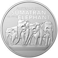 Australien - 1 AUD RAM Zoo (3.) Elefant 2022 - 1 Oz Silber