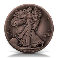 USA - 1 USD TYPE 2 Silver Eagle 2022 - 1 Oz Silber AntikFinish