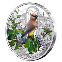 Kanada - 20 CAD Farbenfrohe Vögel: Zedernseidenschwanz 2022 - 1 Oz Silber