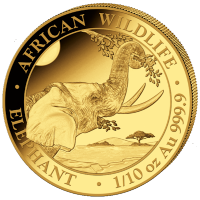 Somalia - 100 Shillings Elefant 2023 - 1/10 Oz Gold