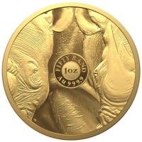 Sdafrika - 50 Rand Big Five II Rhino 2022 - 1 Oz Gold