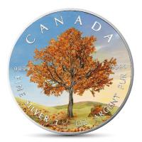 Kanada - 5 CAD Maple Leaf Four Seasons Serie: Herbst 2019 - 1 Oz Silber