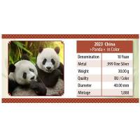 China - 10 Yuan Panda 2023 - 30g Silber Color